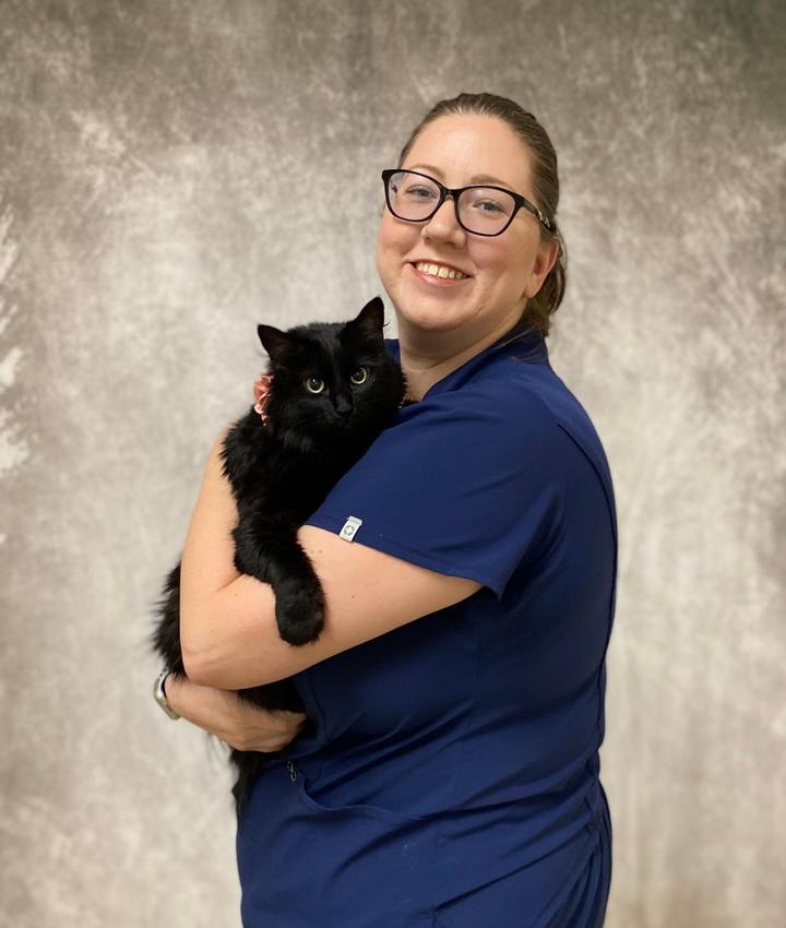 Experienced Veterinarians Animal Hospital in Saint Louis